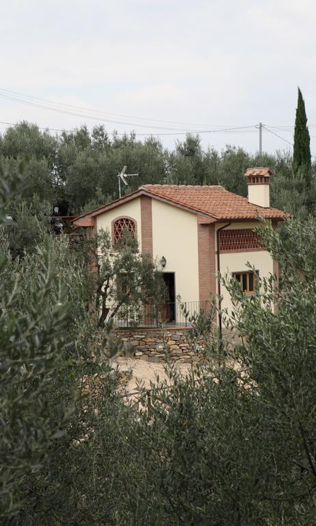 Agriturismo Il Calesse Quarrata Rum bild